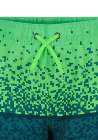 Boys 8-20  Gamer Volley Active Shorts