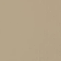 Boys 8-20 2Fer Hoodie