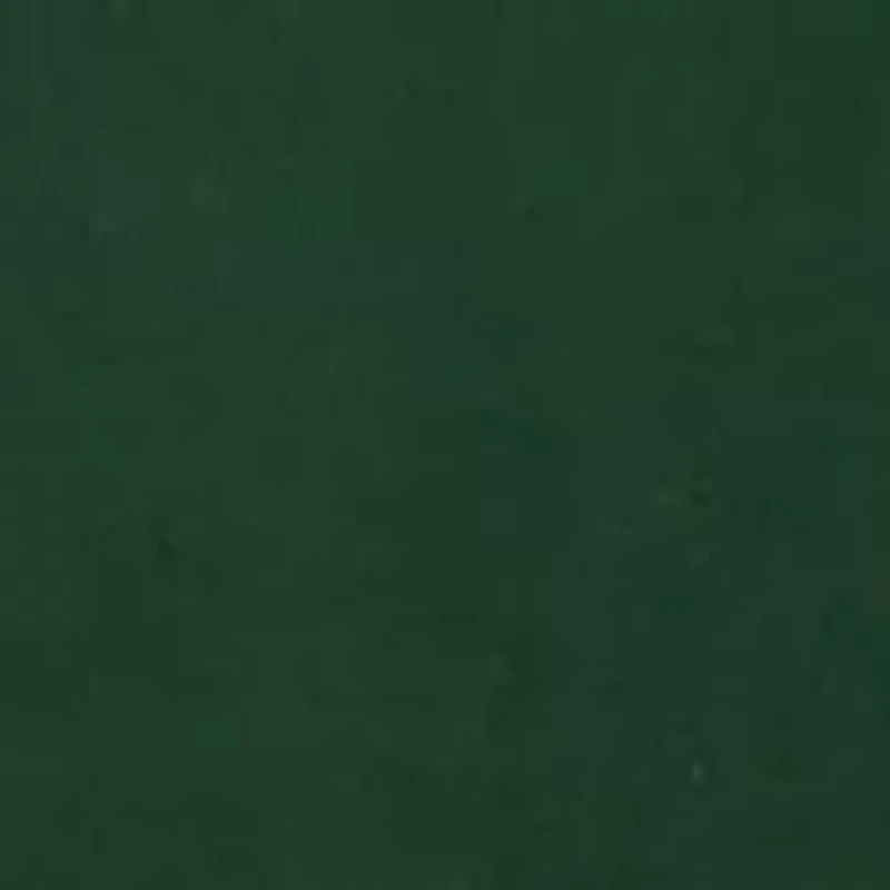 Boys 8-20 Animality Graphic T-Shirt