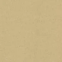 Boys 8-20 Short Sleeve Bear Fishing Graphic T-Shirt