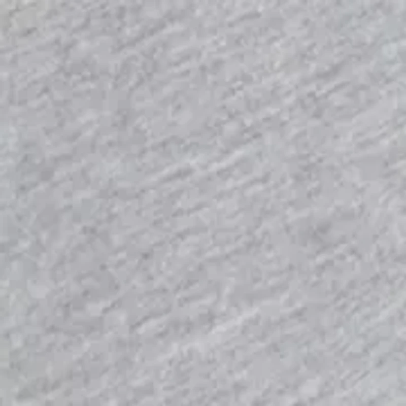 Boys 8-20 Raglan Sleeve Frogskin Logo Graphic T-Shirt