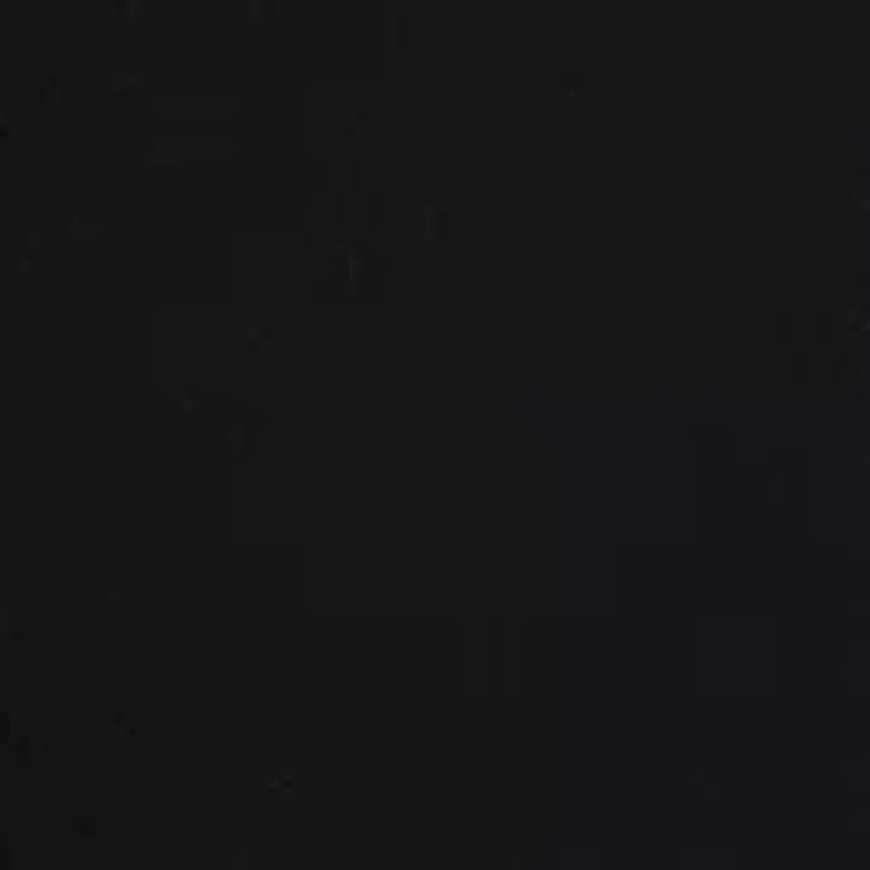 Boys 8-20 Camo Fleece Hoodie