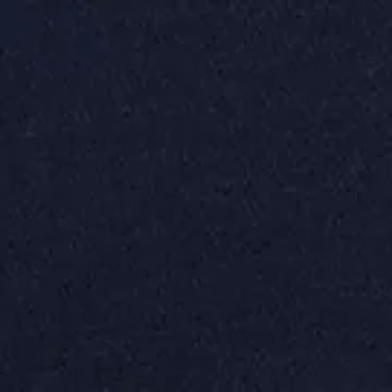 Boys 8-20 Frogskin Logo Graphic Fleece Hoodie