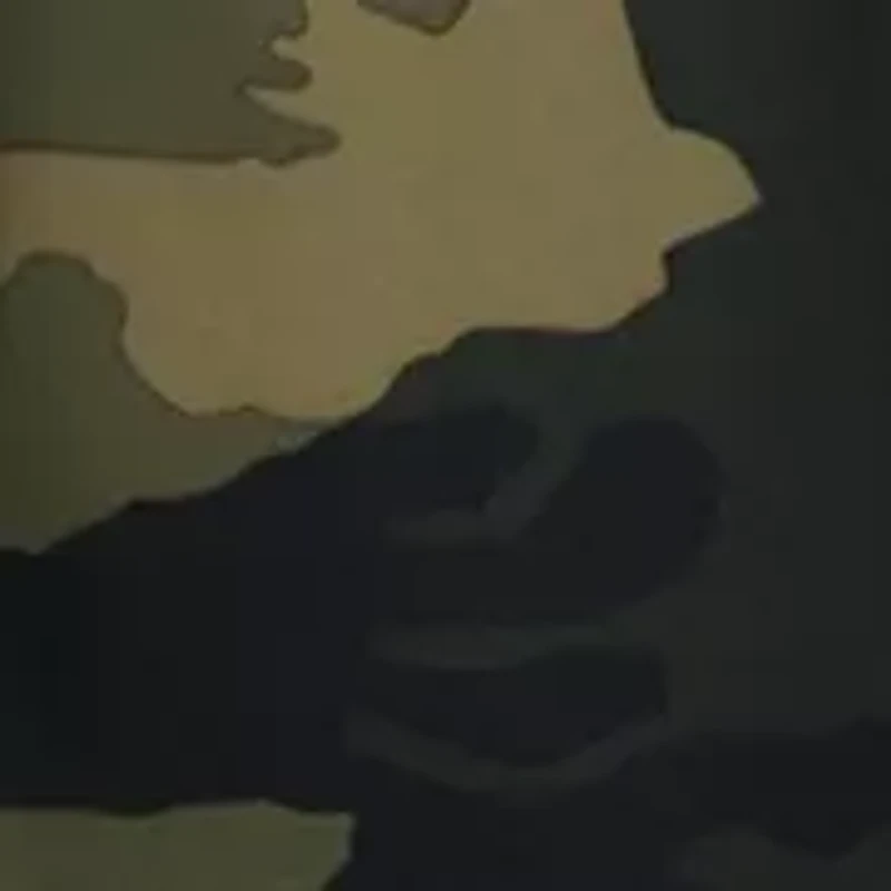 Boys 8-20 Ripstop Cargo Pants