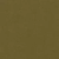 Girls 4-6x Iguana Dessert Long Sleeve Set