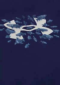 Boys 4-7 Fish Logo Short Sleeve T-Shirt Set