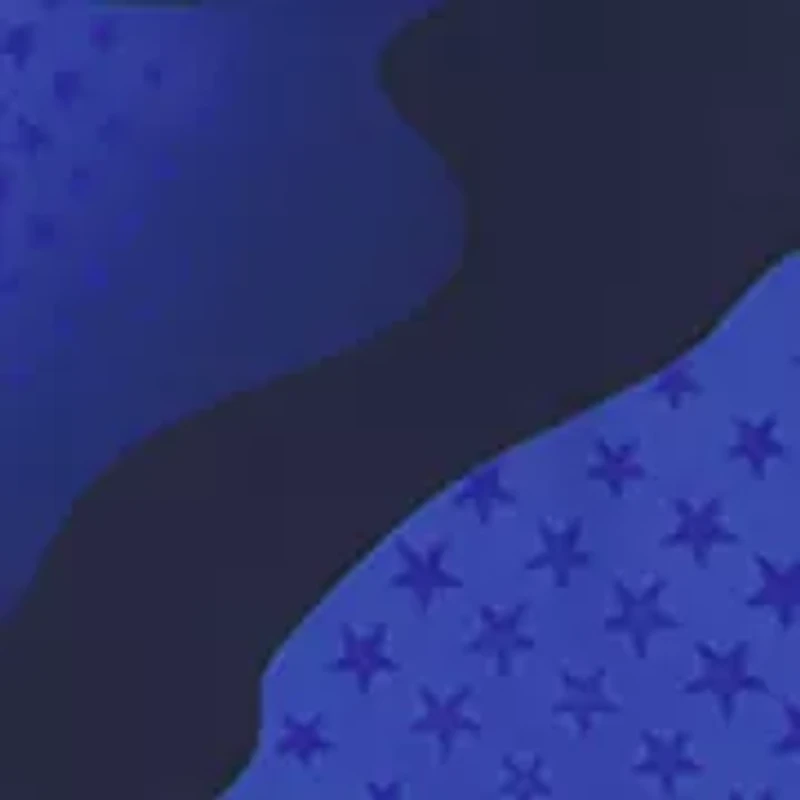 Boys 4-7 Freedom Star Camo Printed Graphic T-Shirt and Shorts Set