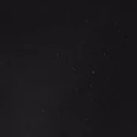 Boys 8-20 Stretch Shorts