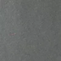 Boys 8-20 Fresh Catch Graphic T-Shirt