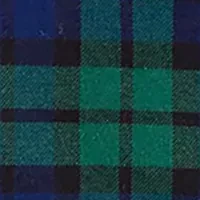 Boys 4-7 Plaid Printed Button Down Shirt