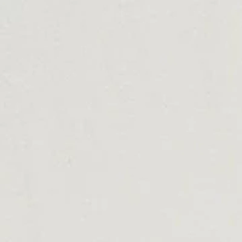 Boys 8-20 Polo Bear Cotton Jersey Tee