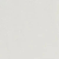 Boys 8-20 Polo Bear Cotton Jersey Tee