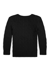 Boys 2-7 Cable Knit Cotton Sweater