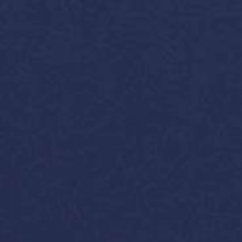 Boys 2-7 Polo Bear Performance Rash Guard