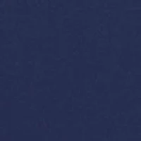 Boys 2-7 Polo Bear Performance Rash Guard