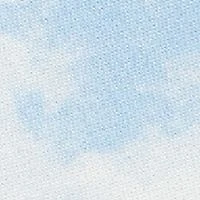 Boys 2-7 Tie Dye Print Fleece Shorts