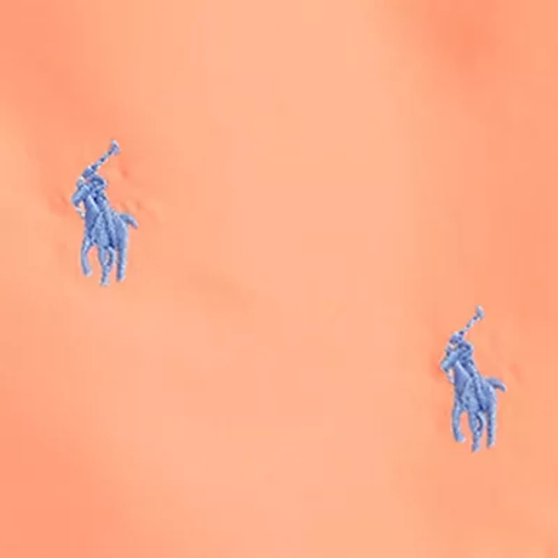 Boys 2-7 Traveler Polo Pony Swim Trunks