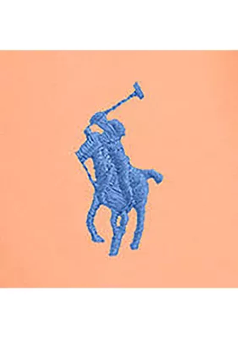 Boys 2-7 Traveler Polo Pony Swim Trunks