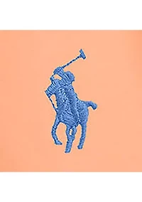 Boys 2-7 Traveler Polo Pony Swim Trunks