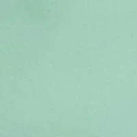 Boys 2-7 Traveler Polo Pony Swim Trunk