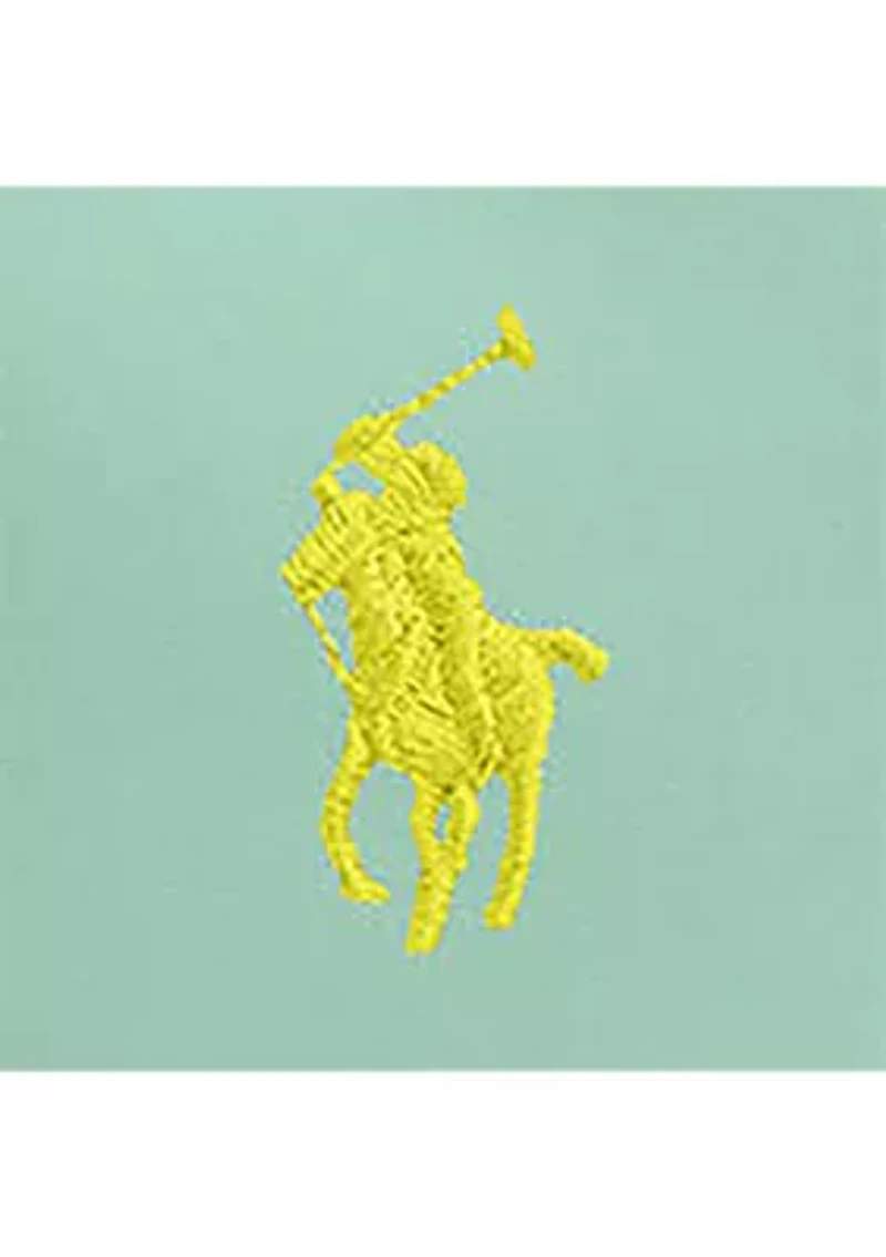 Boys 2-7 Traveler Polo Pony Swim Trunk