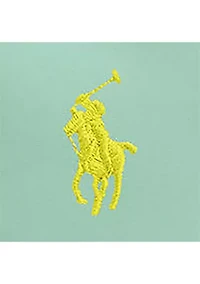 Boys 2-7 Traveler Polo Pony Swim Trunk