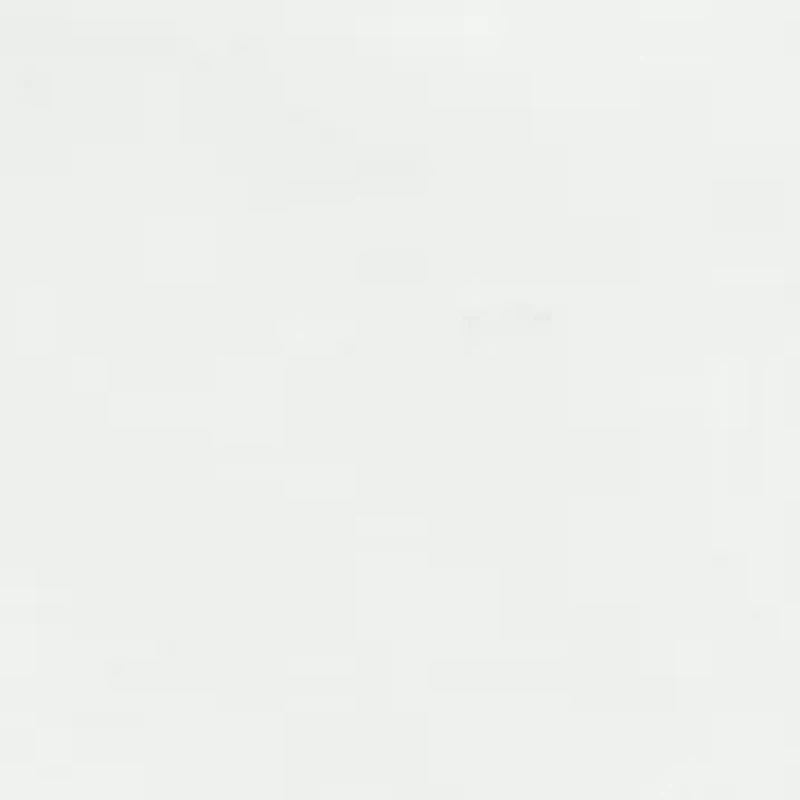 Boys 2-7 Polo Bear Cotton Jersey Tee