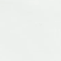 Boys 2-7 Polo Bear Cotton Jersey Tee