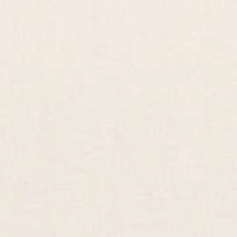 Boys 2-7 Polo Bear Cotton Jersey T-Shirt