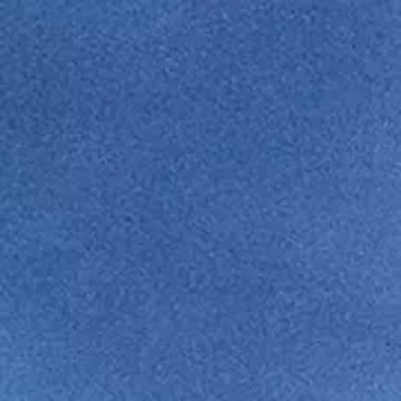 Boys 2-7 Polo Bear Swim Trunks