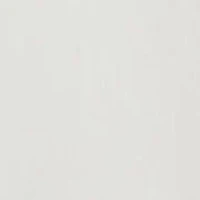 Boys 2-7 Polo Bear Fleece Sweatshirt