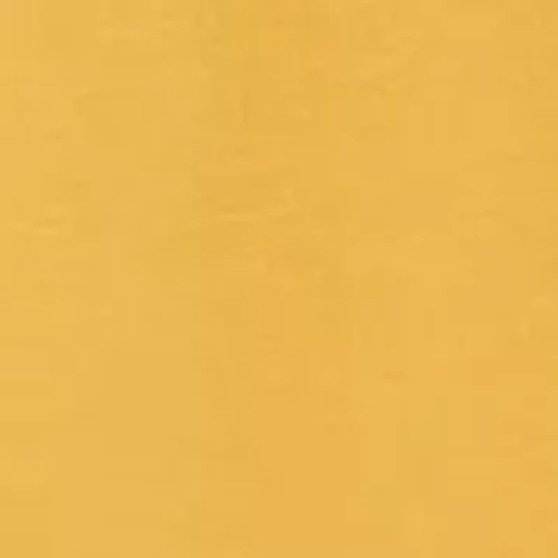 Boys 2-7 Polo Bear Cotton Long-Sleeve T-Shirt