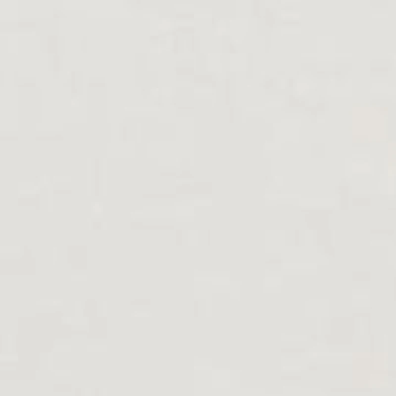 Boys 4-7 Polo Bear Cotton Jersey T-Shirt