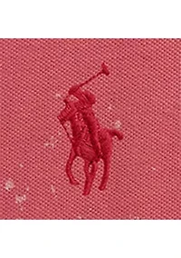 Boys 2-8 Big Pony Paint-Print Mesh Polo Shirt