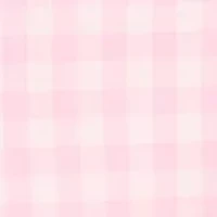 Boys 2-7 Gingham Cotton Poplin Shirt