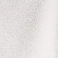 Boys 4-7 Polo Bear Cotton Jersey Tee