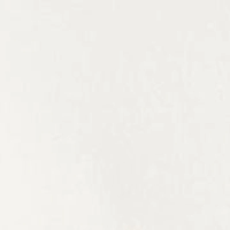 Boys 4-7 Polo Bear Cotton Jersey Tee