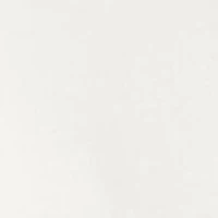 Boys 4-7 Polo Bear Cotton Jersey Tee