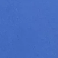 Boys 8-20 Straight Fit Flex Abrasion Twill Shorts