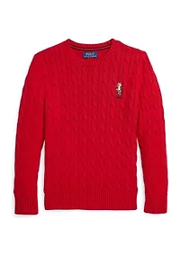 Boys 8-20 Polo Bear Cable Knit Cotton Sweater