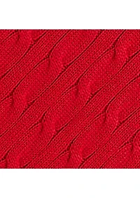 Boys 8-20 Polo Bear Cable Knit Cotton Sweater