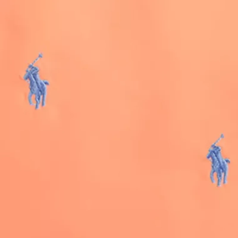 Boys 8-20 Traveler Polo Pony Swim Trunks