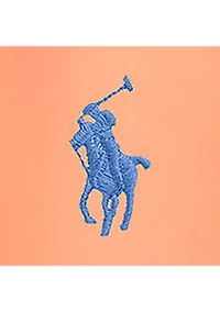 Boys 8-20 Traveler Polo Pony Swim Trunks