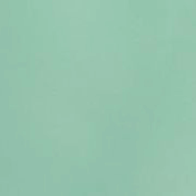 Boys 8-20 Traveler Polo Pony Swim Trunk