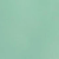 Boys 8-20 Traveler Polo Pony Swim Trunk