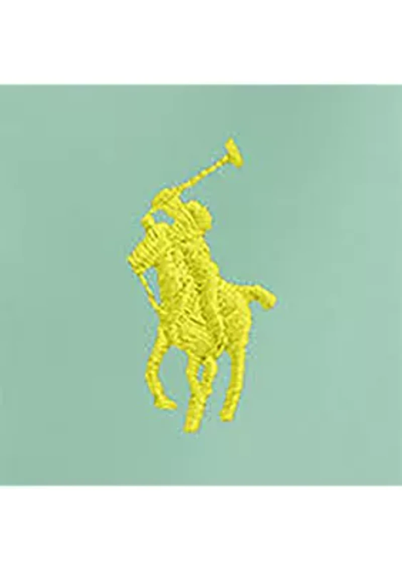 Boys 8-20 Traveler Polo Pony Swim Trunk