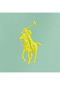 Boys 8-20 Traveler Polo Pony Swim Trunk