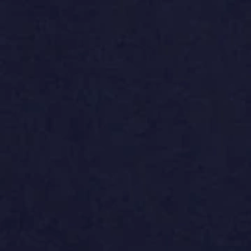 Boys - Polo Pony Fleece Collared Sweatshirt