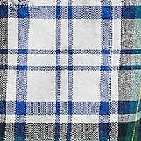Plaid Cotton Oxford Shirt