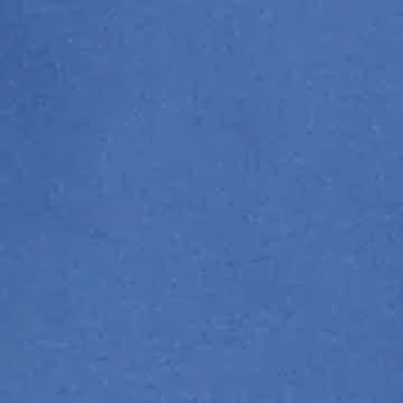 Boys 8-20 Polo Bear Swim Trunks